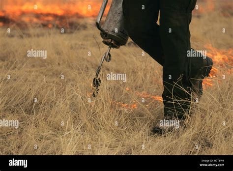 Controlled Burn In Wildlife Management Area Stock Photo - Alamy