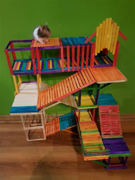 hamster's playground out of popsicle sticks | Diy hamster toys, Hamster ...