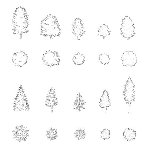 FREE Trees DWG CAD Blocks in Plan and Elevation – Cadnature