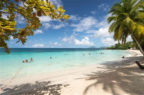 Top 10 Des Plus Belles Plages De Martinique Martinique Paysage Plage ...