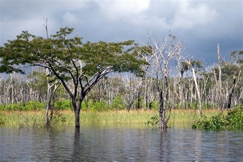 Jau National Park, Brazil - detailed information with photos