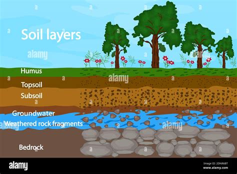 Soil Water Diagram