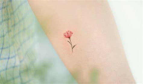 11+ Simple Carnation Tattoo Ideas You’ll Have To See To Believe!