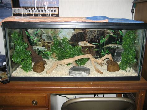 Ball Python Habitat Ideas