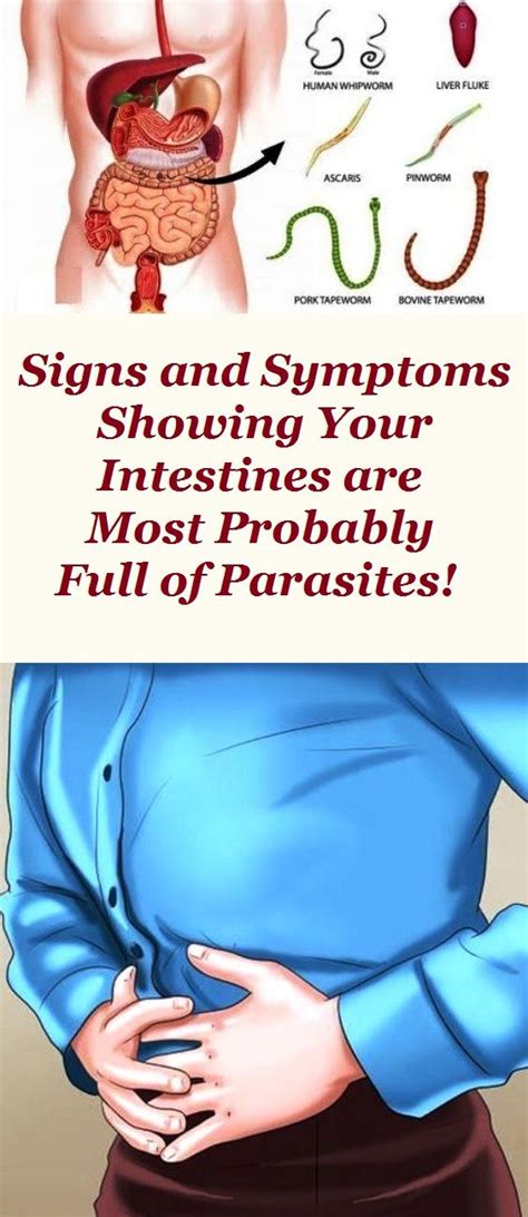 Signs and Symptoms Showing Your Intestines are Most Probably Full of ...