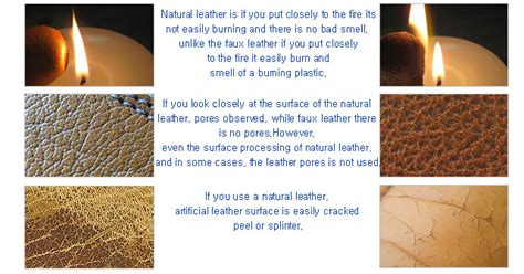 Real leather vs Faux leather | Useful Information