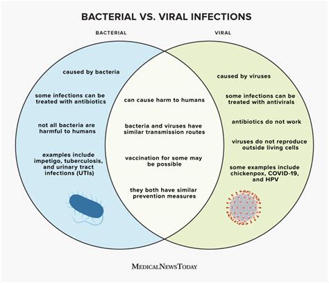 How To Prevent Bacterial Infections - Mikeluck25