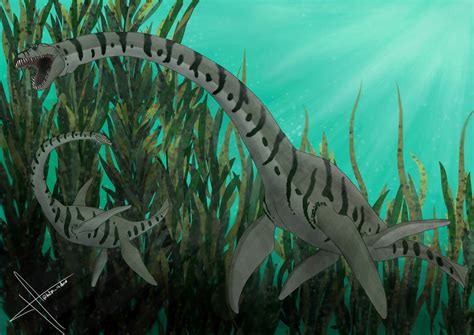 Elasmosaurus platyurus by Henrisdead on DeviantArt