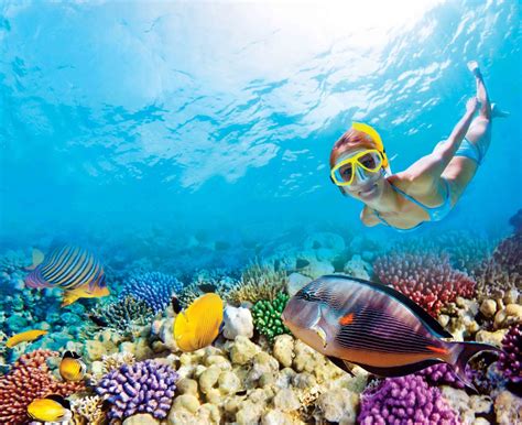 Snorkeling in Cancun | Where to go and explore the Ocean | Riviera Maya ...