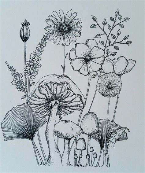 Wild Flowers - Ink sketch | Wildflower drawing, Flower sketches ...