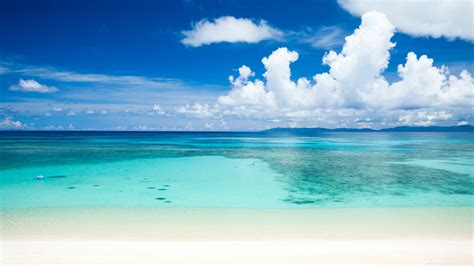 🔥 Free Download Tropical Beach Ultra Hd Desktop Background Wallpaper ...