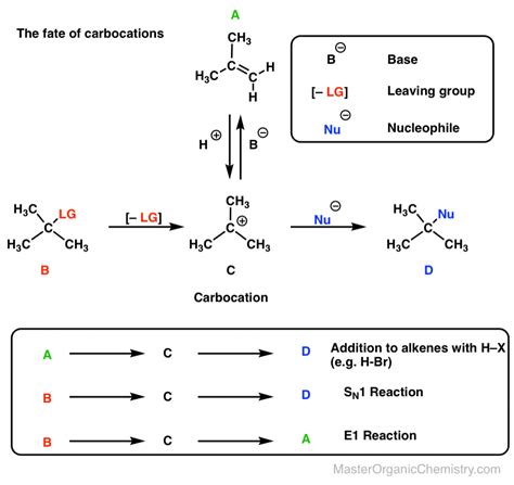 The Carbocation Intermediate In The SN1, E1, and Alkene + HX Reactions