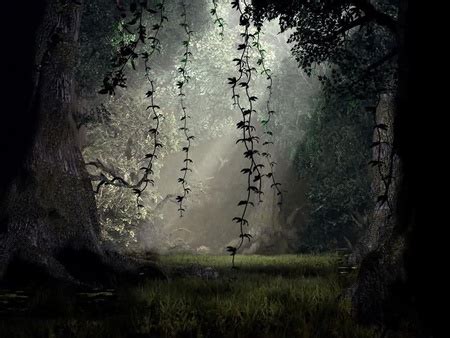 Jungle Night - Forests & Nature Background Wallpapers on Desktop Nexus ...