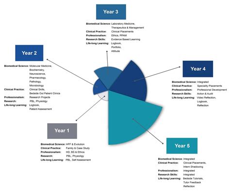 Medical School Curriculum - Graph Diagram