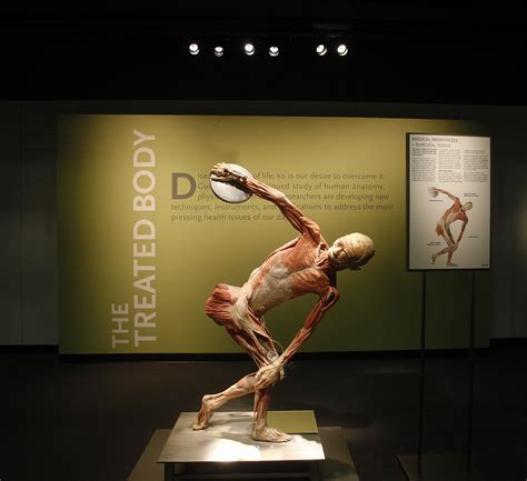 nblyfitness: Bodies: The Exhibition (Atlanta, GA) - not for the faint ...