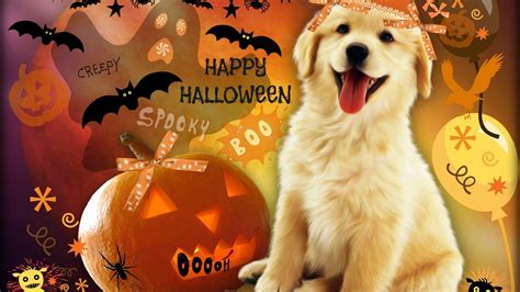 Cute Puppy Halloween Wallpapers - Top Free Cute Puppy Halloween ...