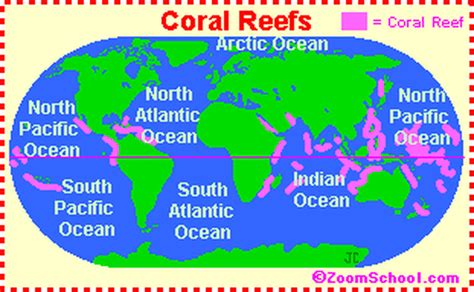 Coral Reef Map - Mrs. Franks' ESL