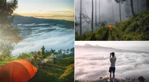 Gunung Putri Lembang, Spot Tracking Bersahabat Bagi Pendaki Pemula di ...