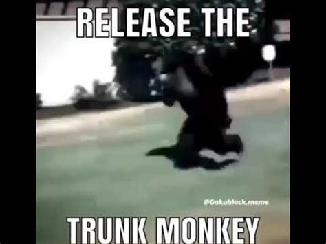 Trunk monkey meme - YouTube