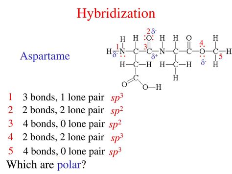 PPT - Hybridization PowerPoint Presentation, free download - ID:3367440