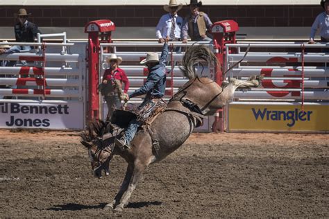 Photos: The Calgary Stampede celebrates 105 years | Canadian Geographic