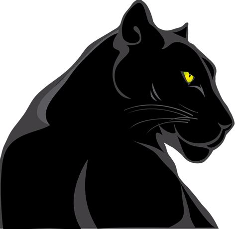 Pantera Animale Feline - Grafică vectorială gratuită pe Pixabay - Pixabay