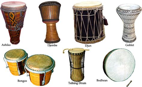 Evolution of the Drum