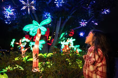 L.A. Zoo Lights: Animals Aglow - Los Angeles Zoo and Botanical Gardens