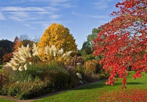 Ness Botanical Gardens