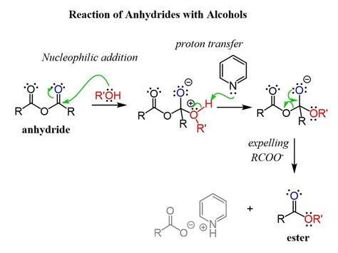 Draw the major product formed in the reaction involving an acid ...