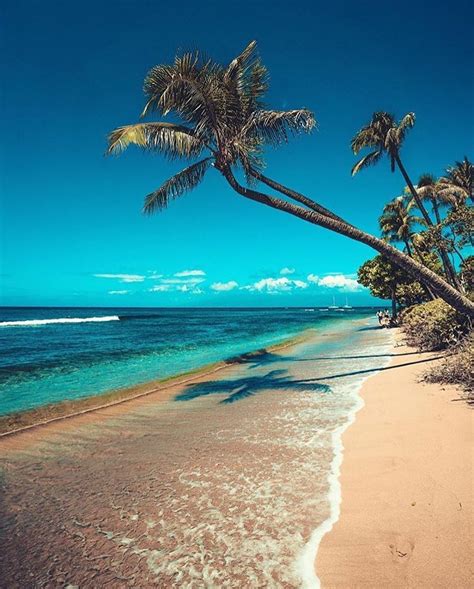 Lahaina Paradise! 🌴🌊 in 2020 | Maui photos, Hawaii photography, Lahaina ...