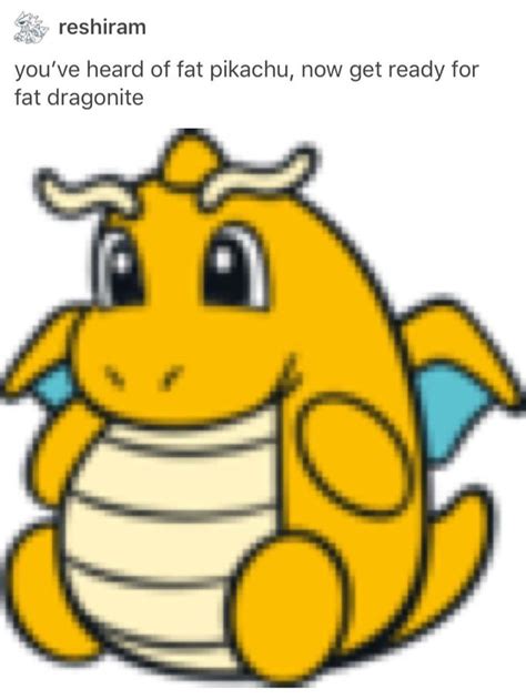 Fat Dragonite | Pokémon | Know Your Meme