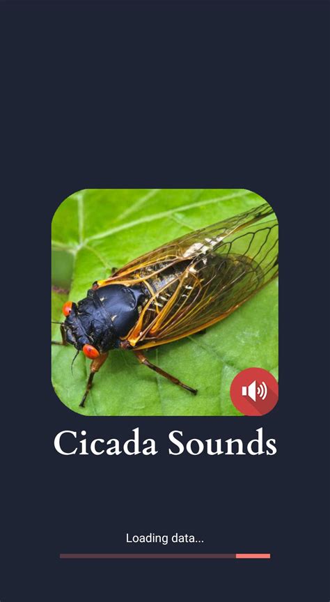 Cicada Sounds APK for Android Download