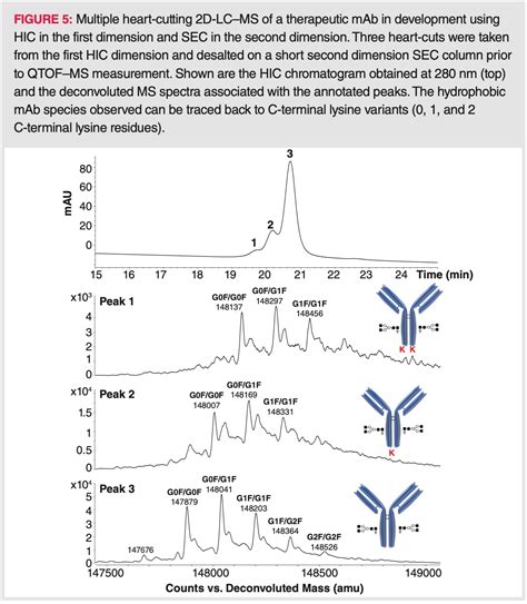 Hydrophobic Interaction Chromatography (HIC) for the Characterization ...