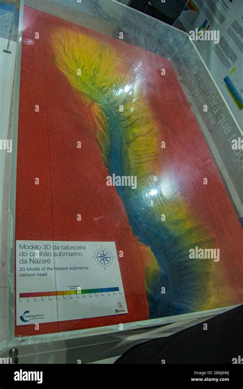 3d model Nazaré underwater canyon, The Nazaré Canyon is an undersea ...