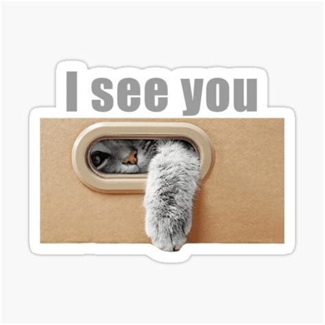 "I See You Cat meme" Sticker by CuteKaley | Redbubble