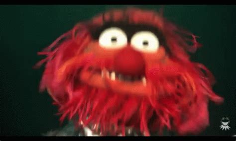 Animal From Sesame Street GIFs | Tenor