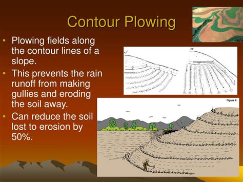 PPT - Weathering and Erosion PowerPoint Presentation, free download ...