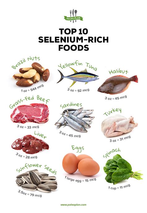 Foods High In Selenium | Hot Sex Picture