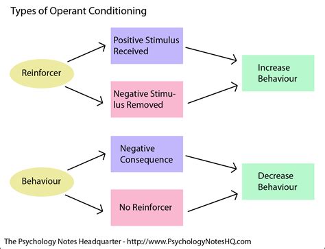 What is Operant Conditioning? - The Psychology Notes Headquarters