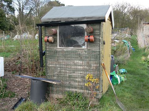 Allotment Shed : What It Is Possible To Get From Patio Furniture | Shed ...