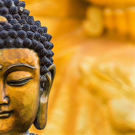 Buddha 8K Wallpapers - Top Free Buddha 8K Backgrounds - WallpaperAccess