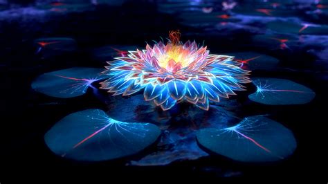 Lotus Flower Images Full Hd Wallpaper | Best Flower Site