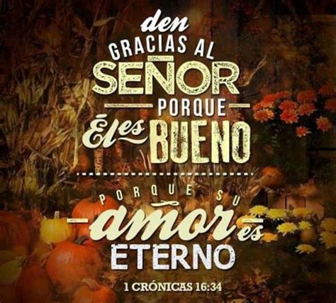 inspiracion biblica versículos Bíblicos de Acción de Gracias – Versos ...