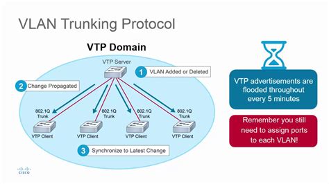 VLAN Trunking Protocol - YouTube