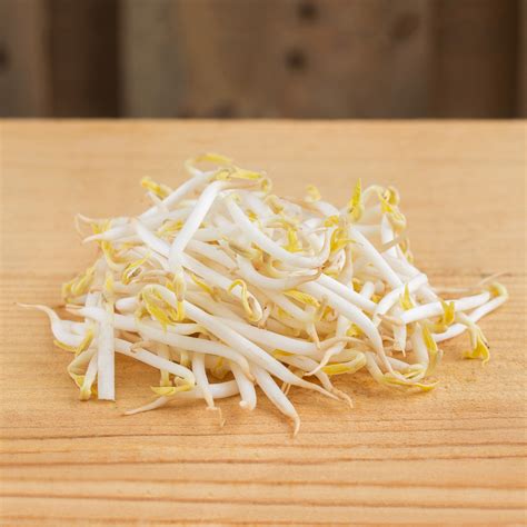 BEAN SPROUTS 1KG - No.1 Fresh & Organic Supermarket in Singapore ...