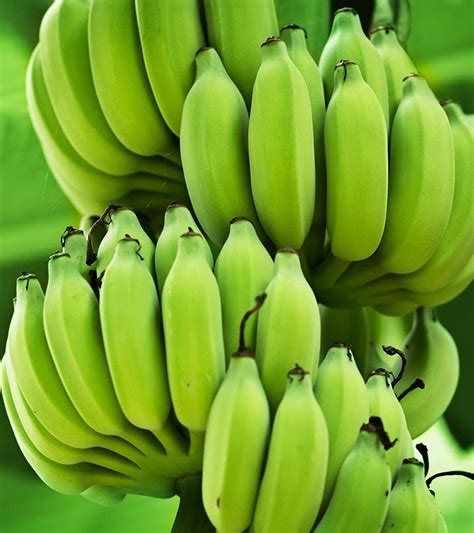 Are Green Bananas Good For Diabetics - DiabetesWalls