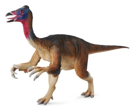 Feathers on Ornithomimid Dinosaurs