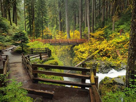 Plan your trip to Olympic National Park - Roadtrippers