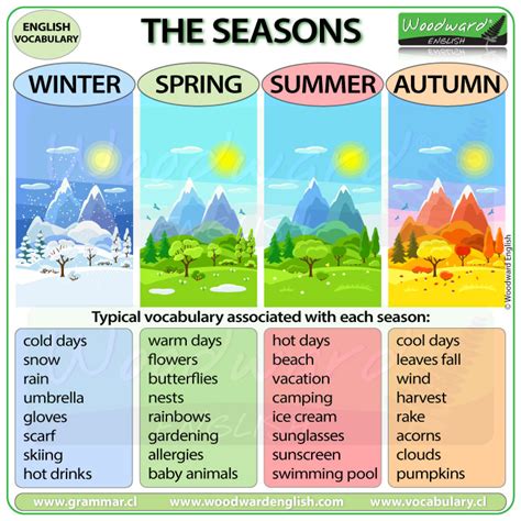 Seasons - English Vocabulary Lesson